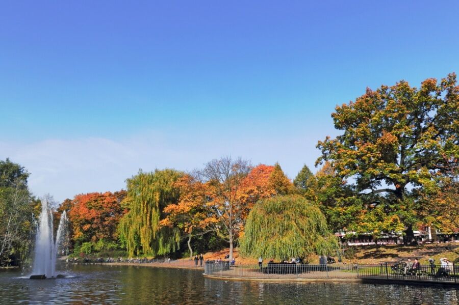 Exklusive 3 Zi Gartenwohnung mit Erstbezug direkt am Volkspark Friedrichshain! - Bild