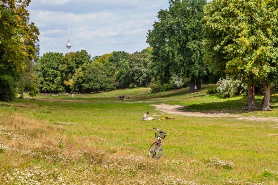 Live, Work & Invest – Perfect for Café & Creative Business near Tempelhofer Feld - Bild