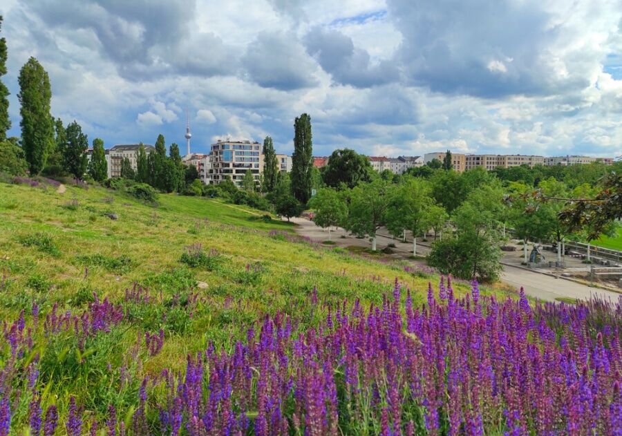 Humannplatz: Rented 2-Room Apartment with Balcony for Investment in Prenzlauer Berg - Bild